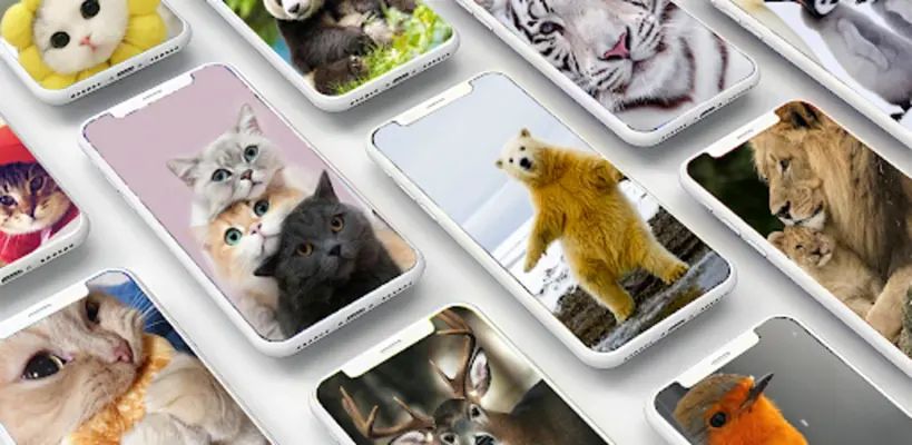 Cute Animals Photo android App screenshot 7